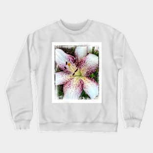 Lily In The Summer Garden - flower photography Crewneck Sweatshirt